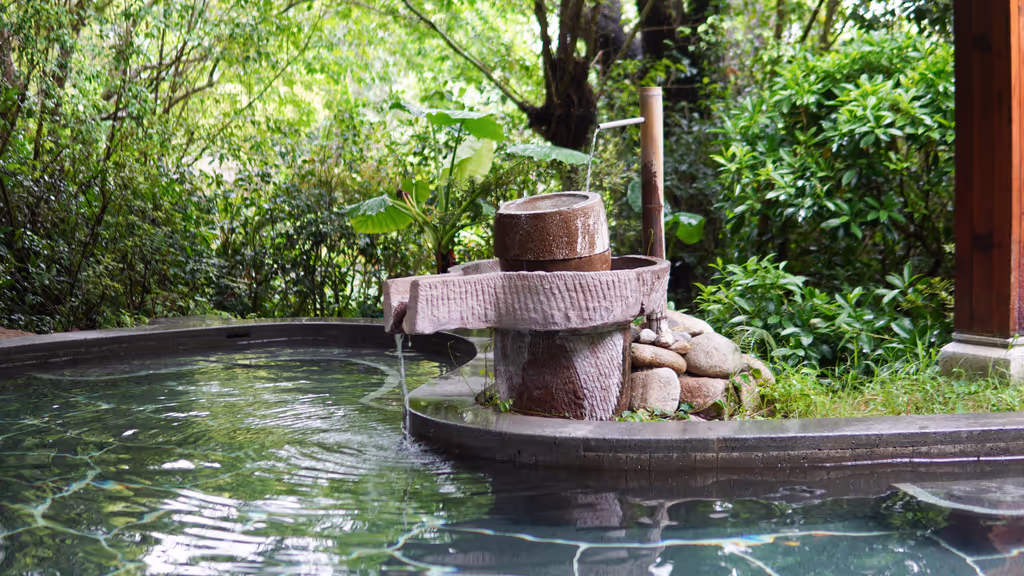 Hakone Private Tour - Enjoy a day-trip hot spring experience!