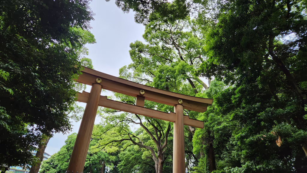 Tokyo Private Tour - 