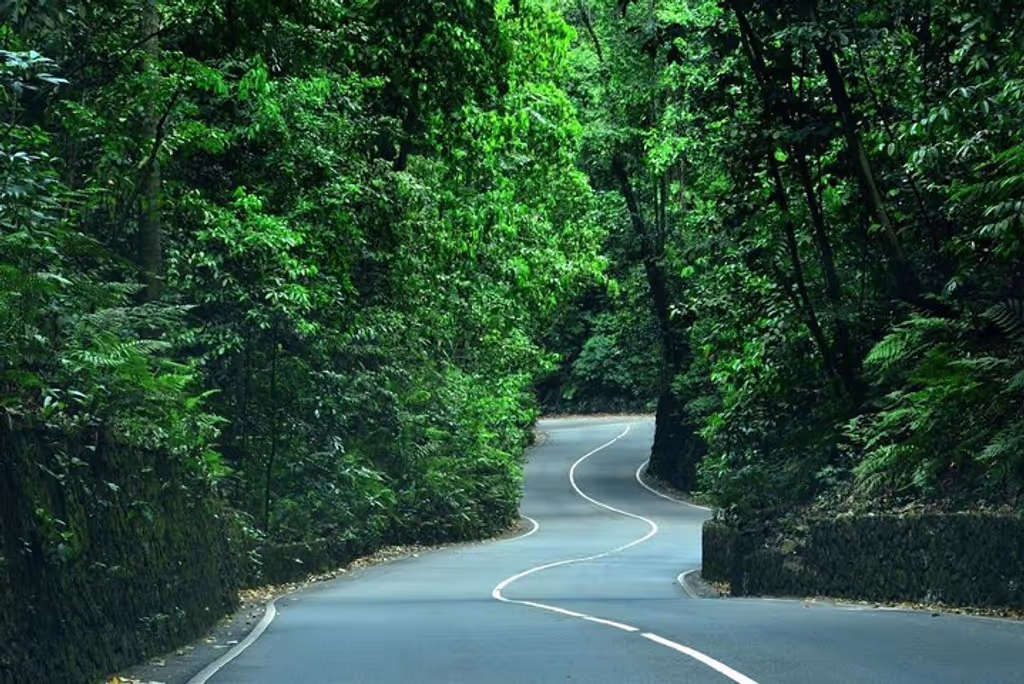 Montego Bay Private Tour - Fern gully