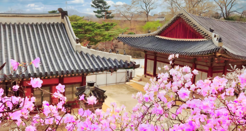 Seoul Private Tour - 