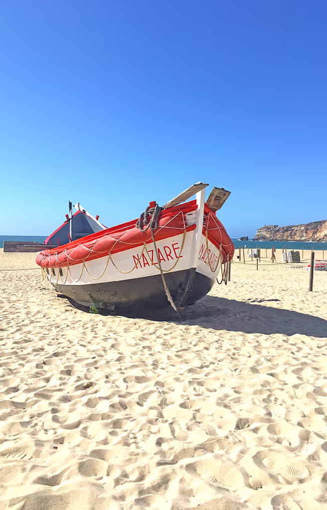 Lisbon Private Tour - Local fishing boast