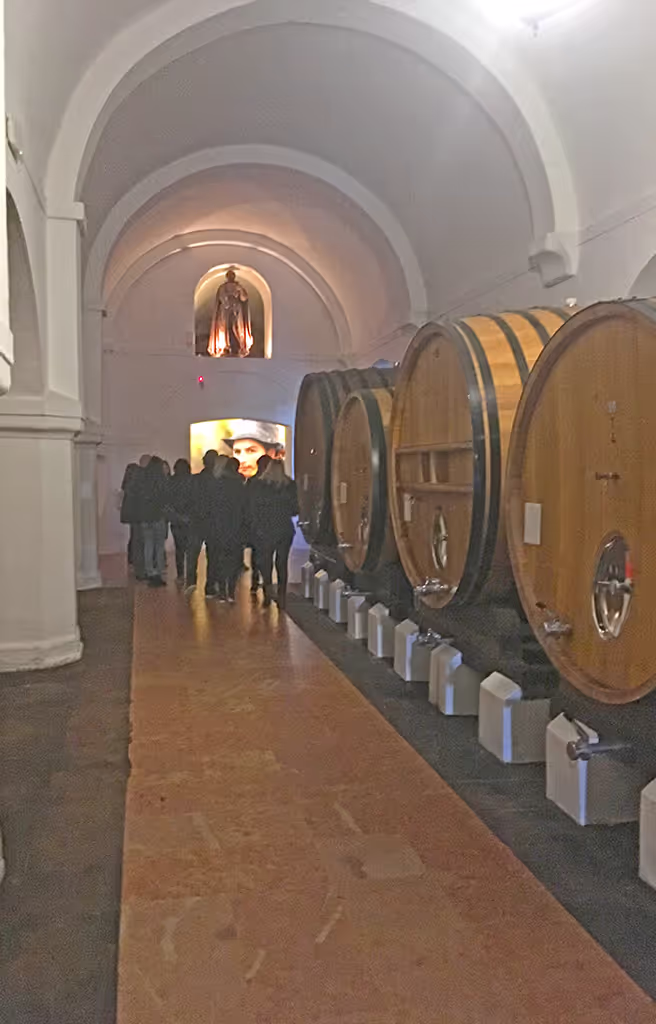 Lisbon Private Tour - Guided group tour on winery