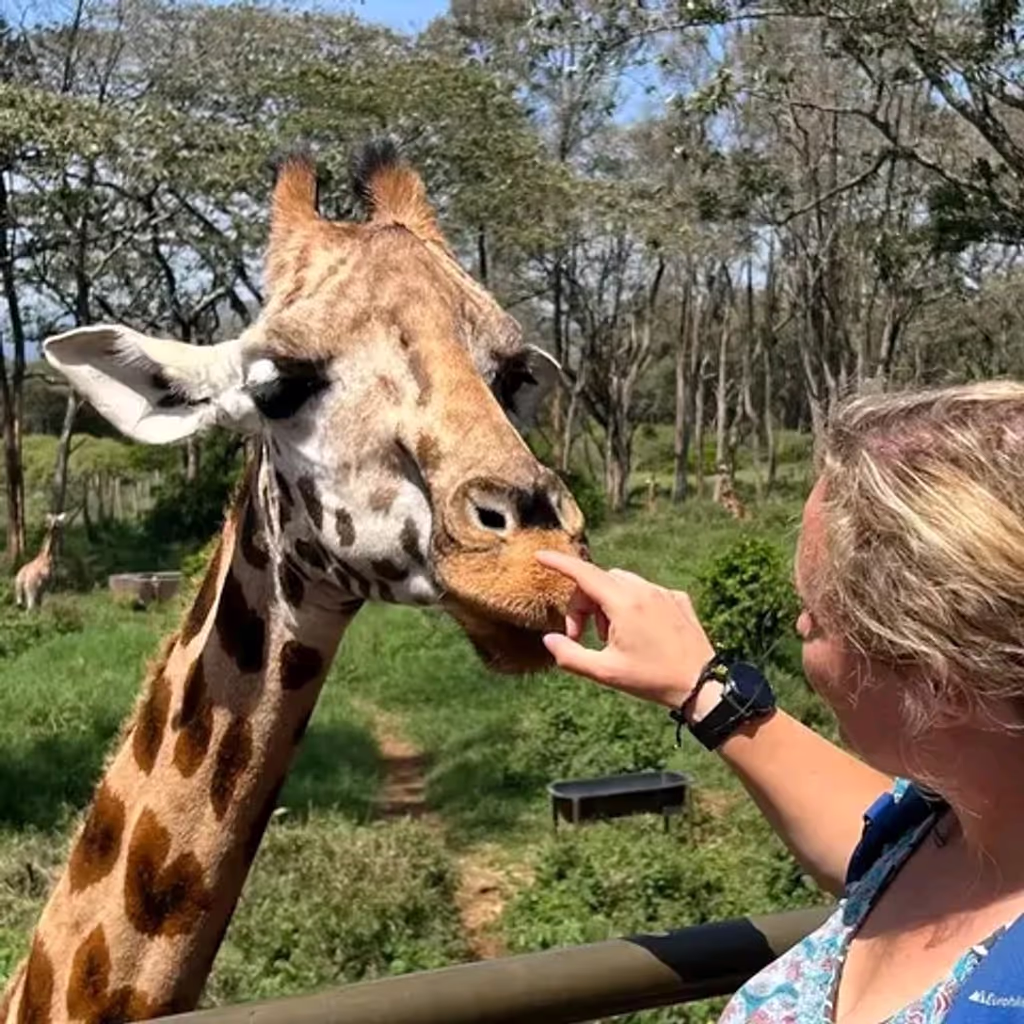 Nairobi Private Tour - 