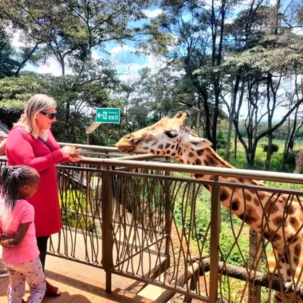 Nairobi Private Tour - 