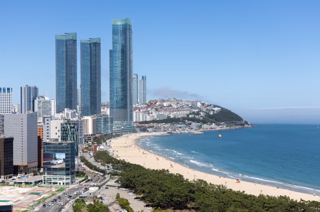 Busan Private Tour - 