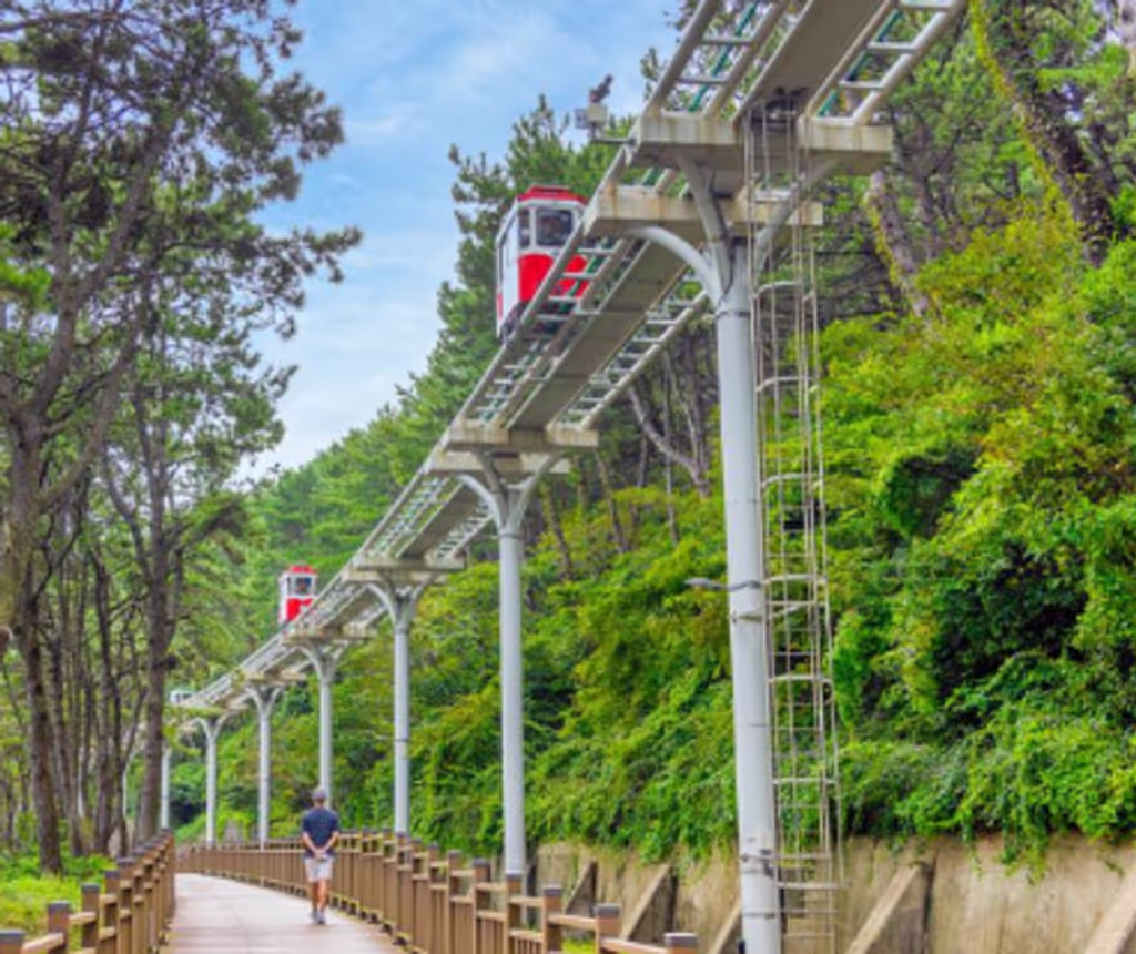 Busan Private Tour - 