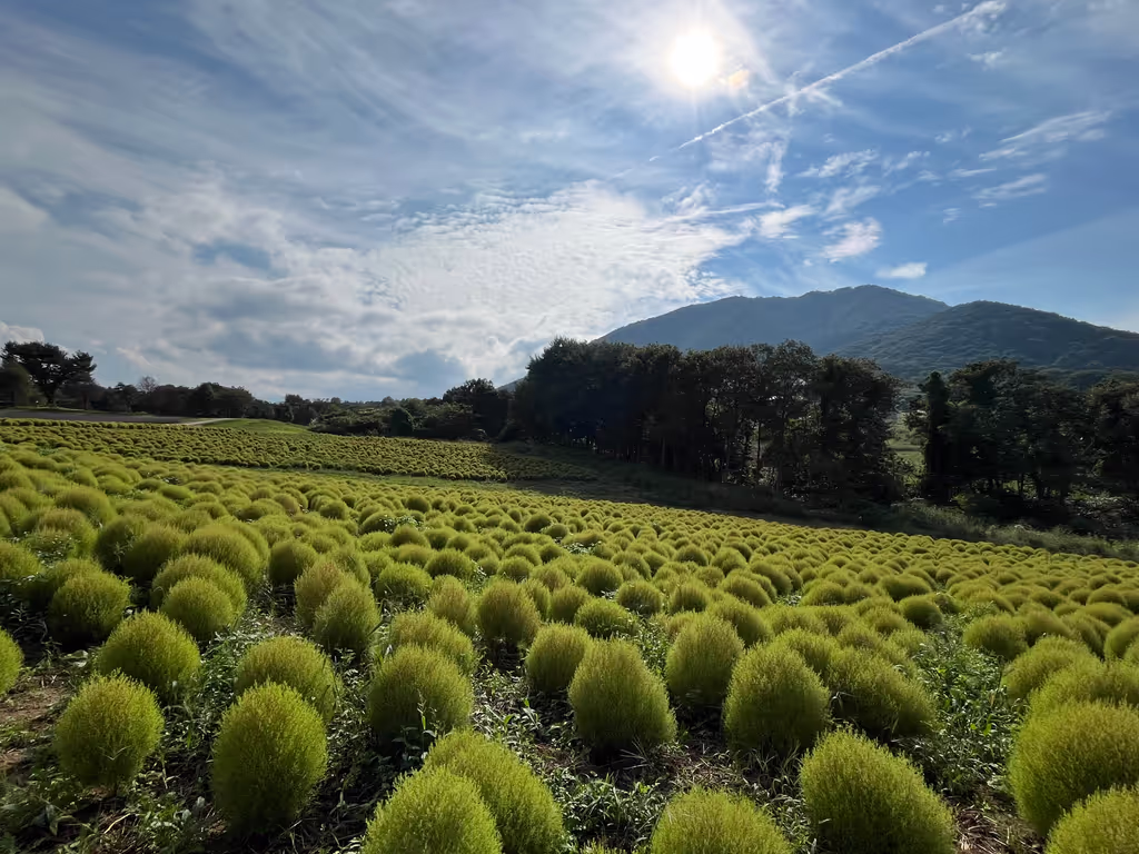 Miyagi Private Tour - Yakurai garden