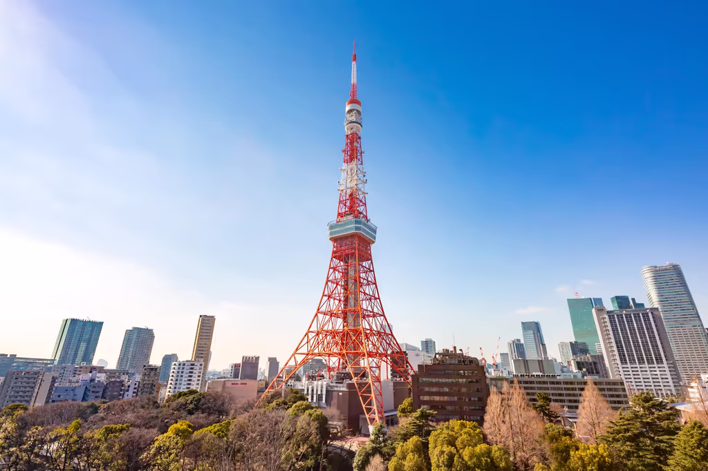 Tokyo Private Tour - Tokyo Tower