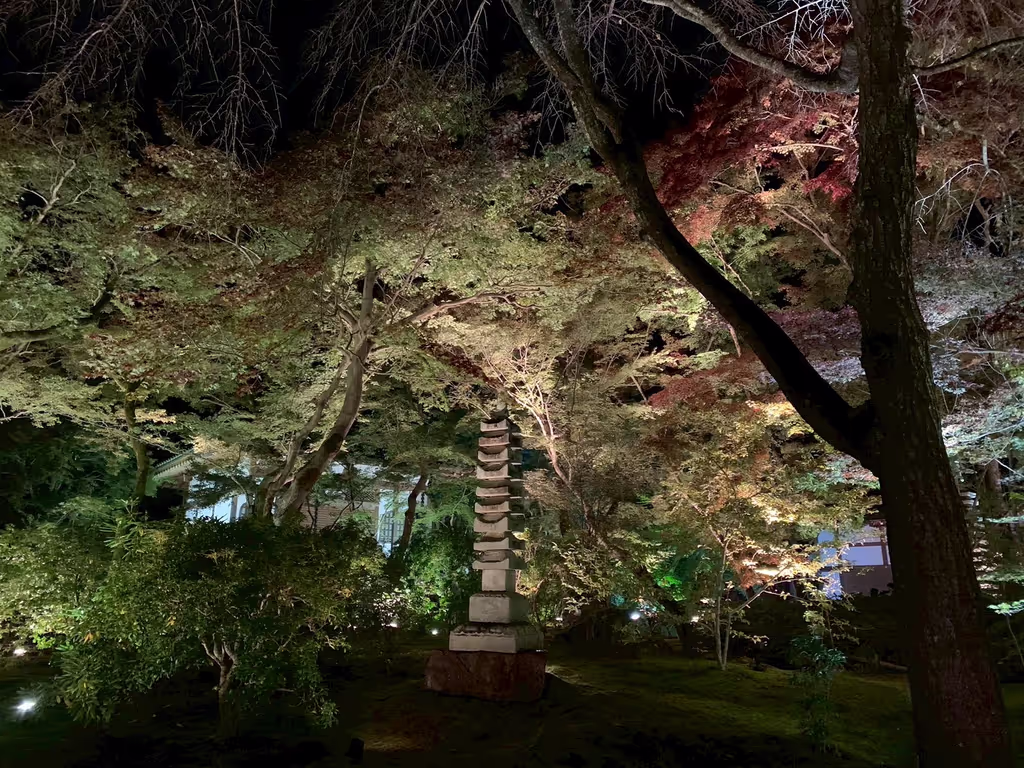 Tokyo Private Tour - 
