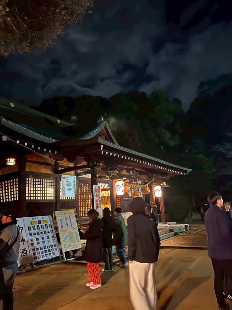 Tokyo Private Tour - Sacred lights in the silence