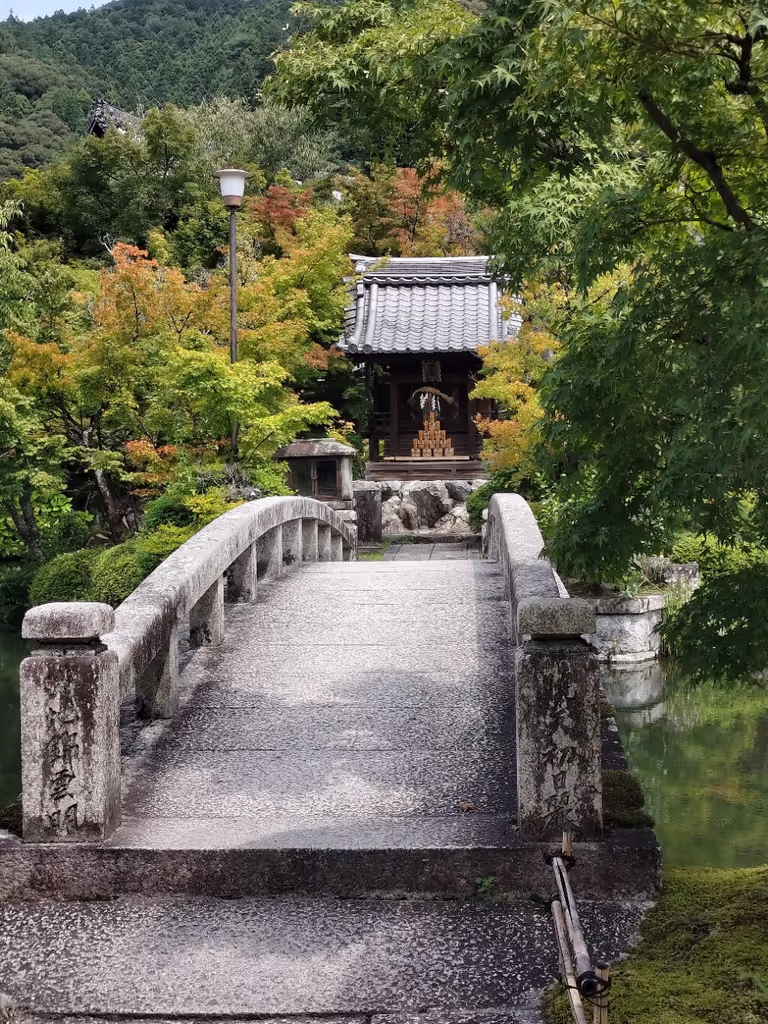 Kyoto Private Tour - Chion in