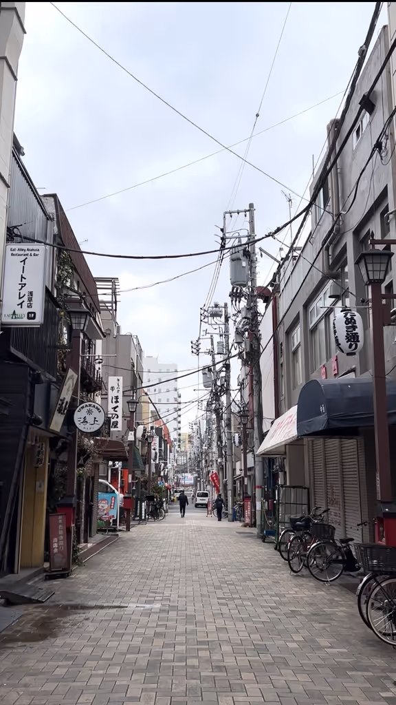 Tokyo Private Tour - Backstreet alleys