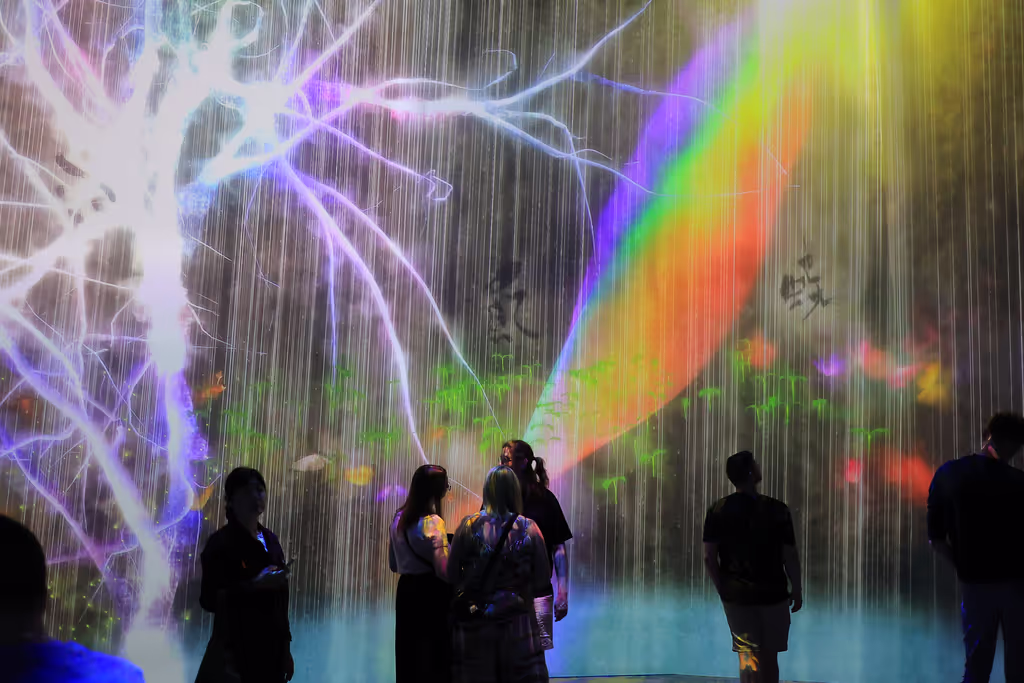 Tokyo Private Tour - This is what you can expect at teamLab Borderless