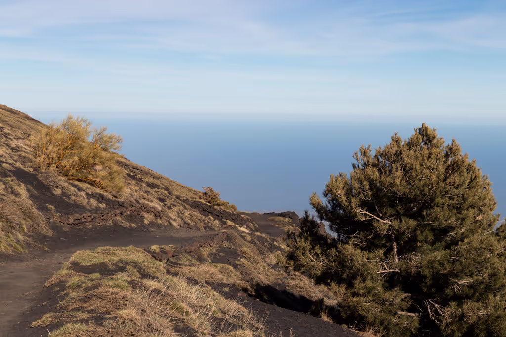 Catania Private Tour - 