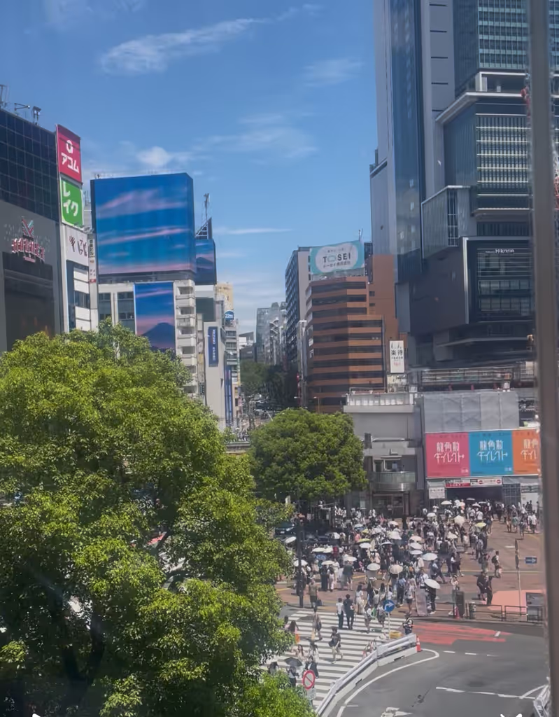 Tokyo Private Tour - Shibuya Scramble Crossing