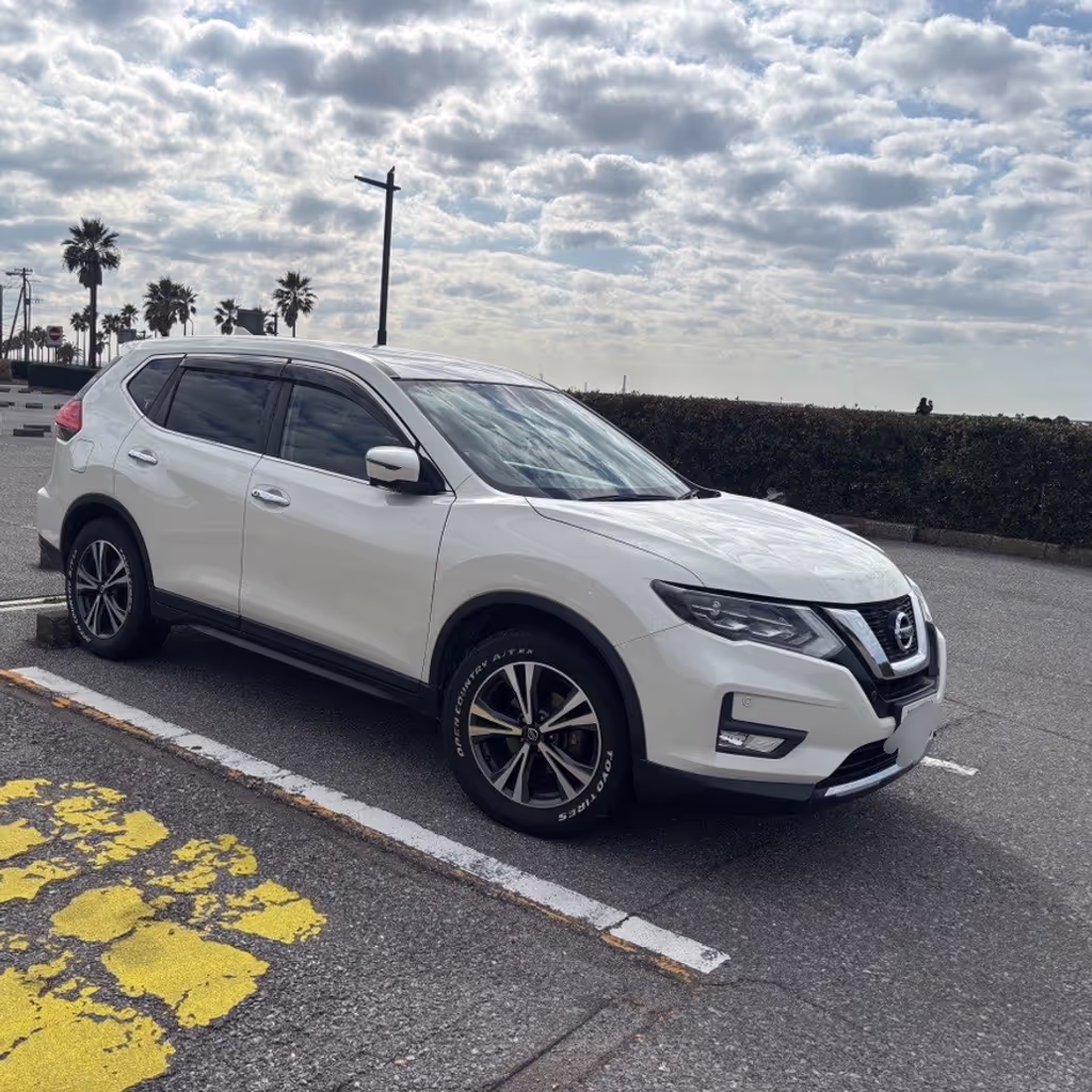 Tokyo Private Tour - Nissan Xtrail SUV