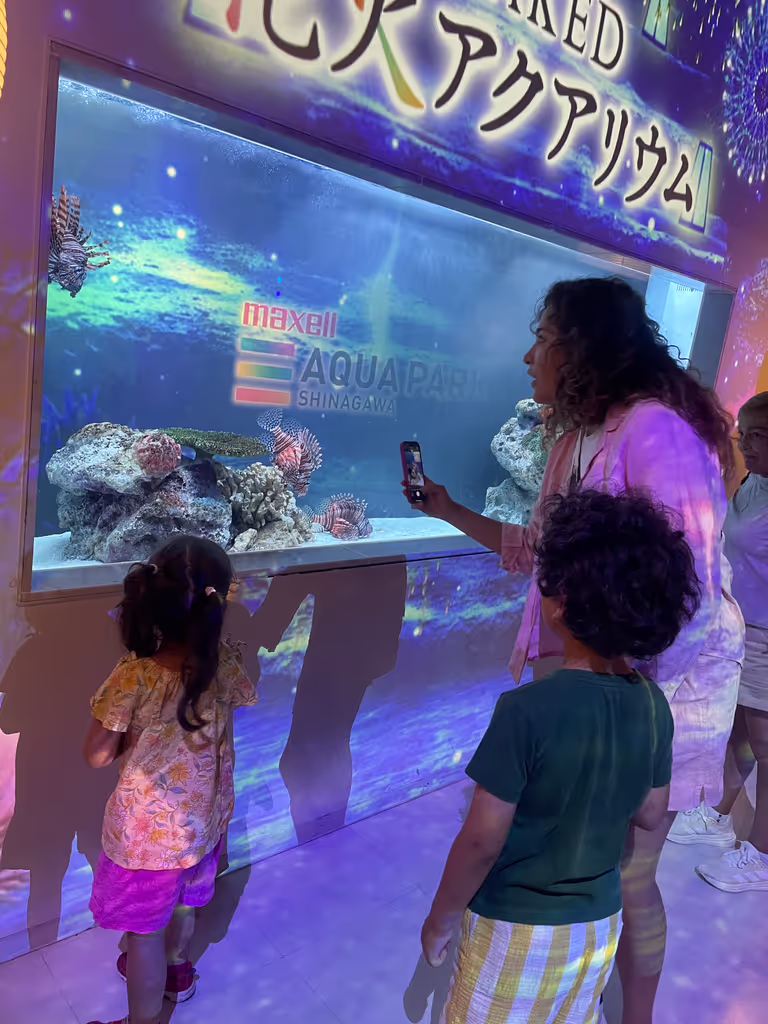 Tokyo Private Tour - Aqua Park Shinagawa