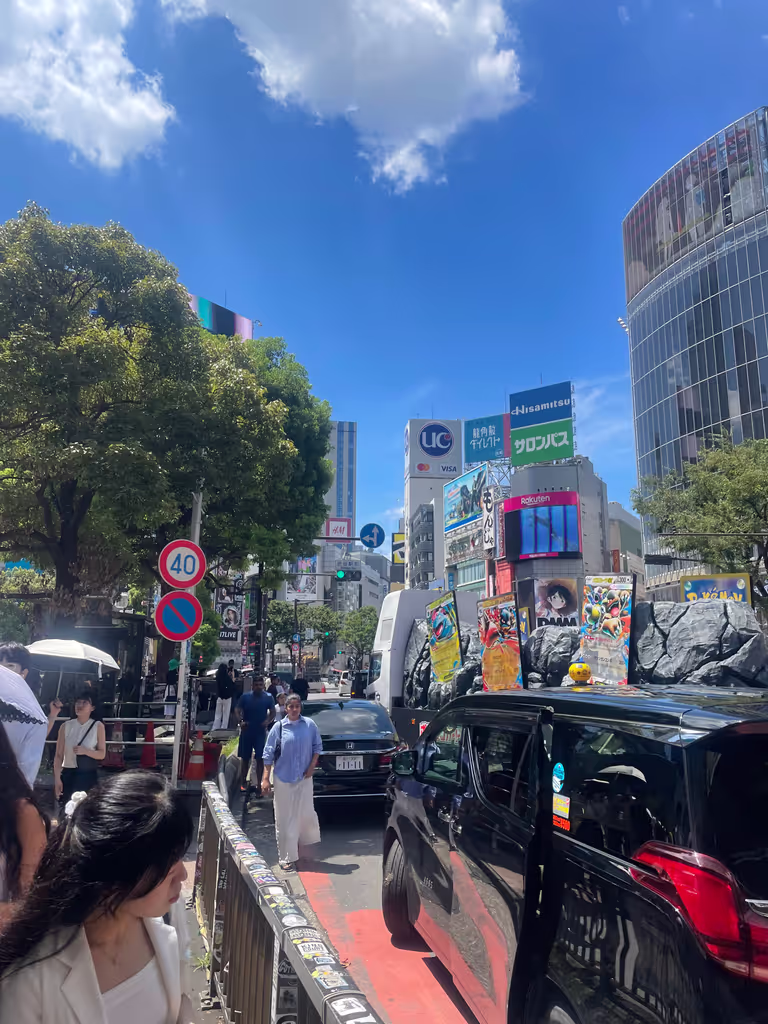 Tokyo Private Tour - Shibuya District