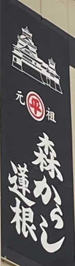 Kumamoto Private Tour - 