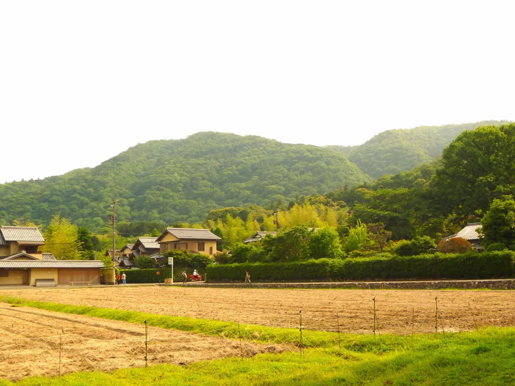 Kyoto Private Tour - Field area in West-Saga