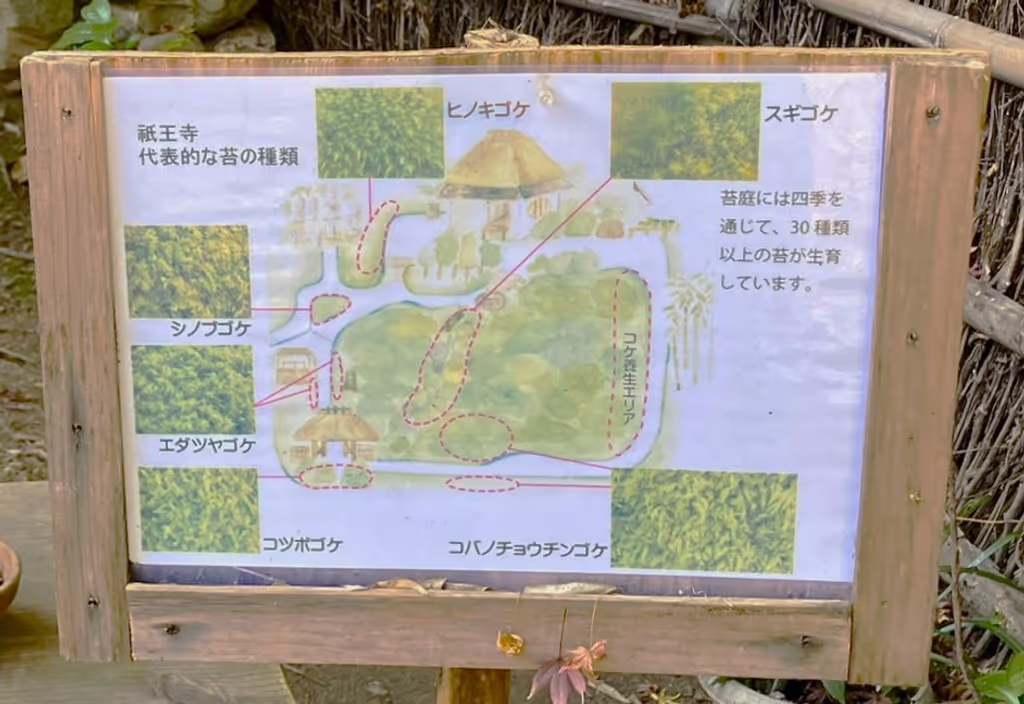 Kyoto Private Tour - Map of Moss in Compound