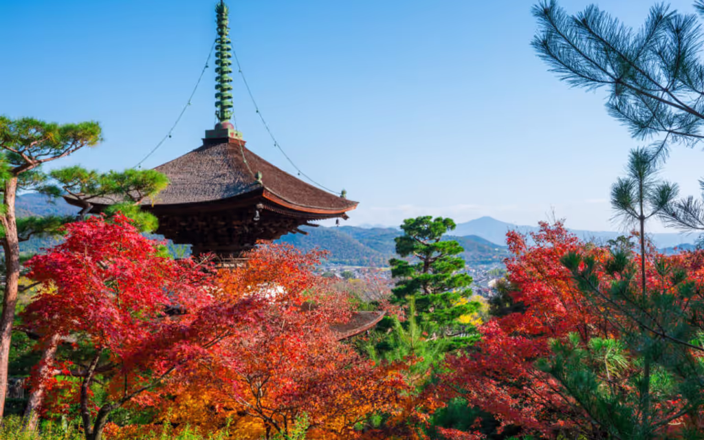 Kyoto Private Tour - Jojakkoji