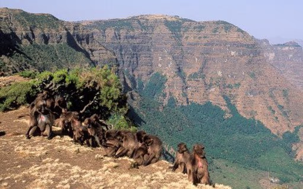 Addis Ababa Private Tour - 