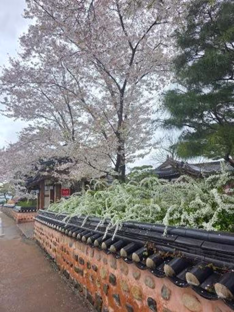 Gyeongju Private Tour - 