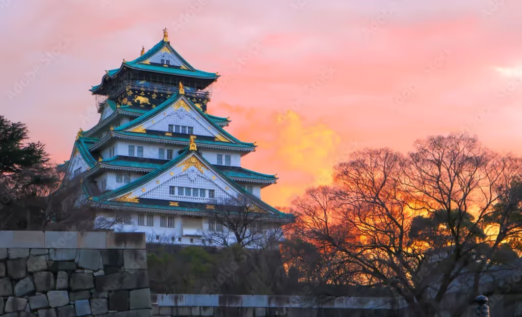 Osaka Private Tour - Osaka castle