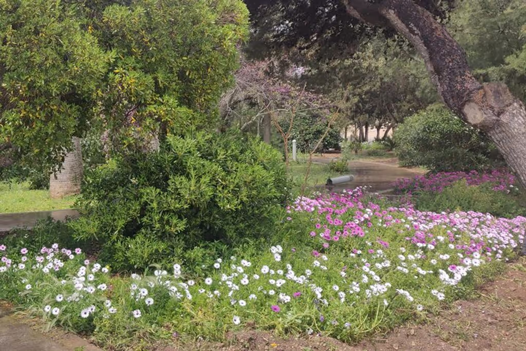 Malta Private Tour - Howard Gardens across Rabat