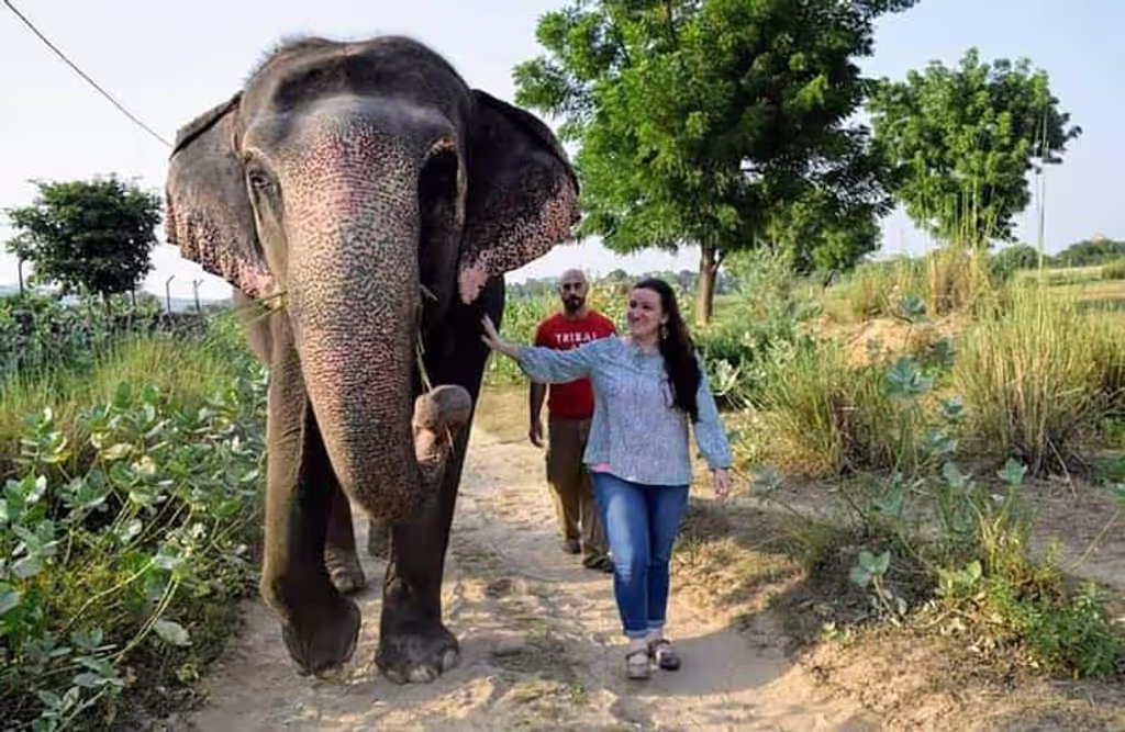 Delhi Private Tour - 