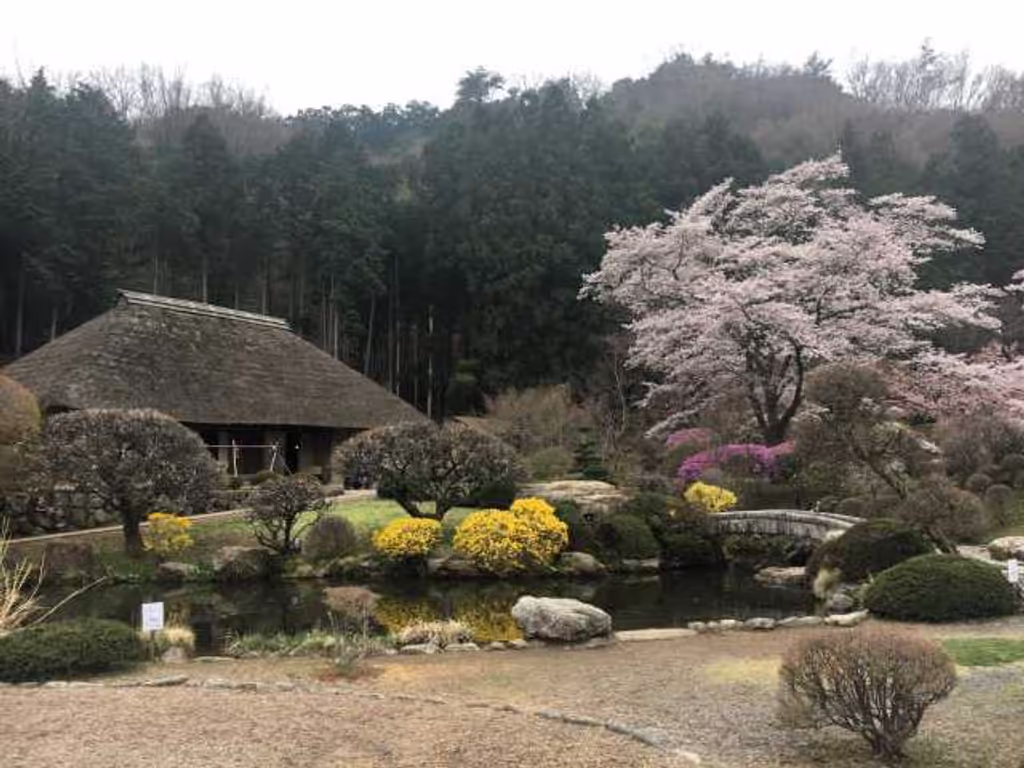 Saitama Private Tour - Washi no Sato (village)
