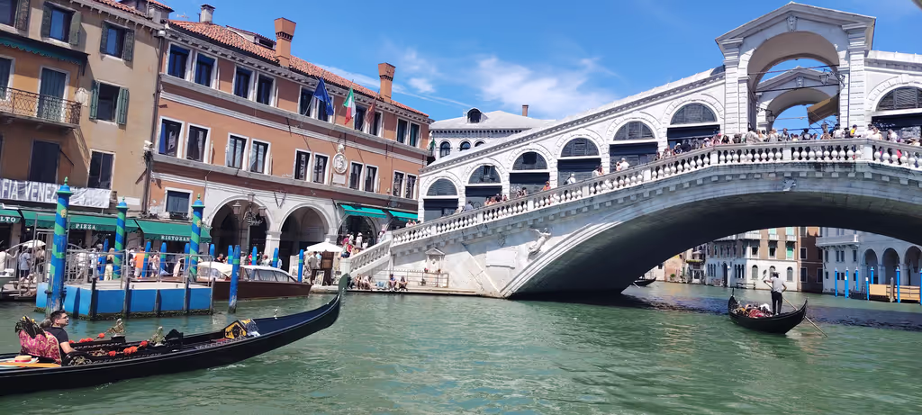 Venice Private Tour - Rialto panorama