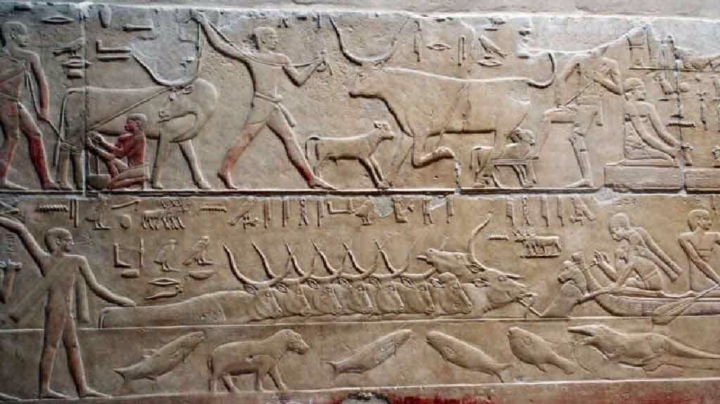 Giza Private Tour - Tomb of Kagemni