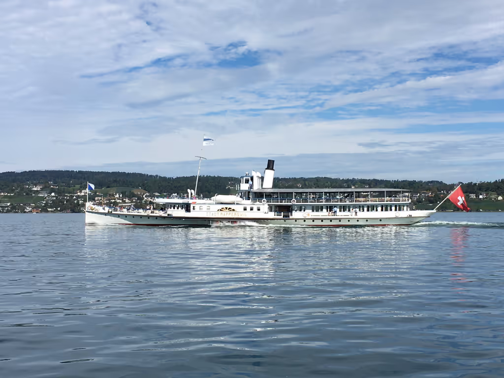 Zurich Private Tour - Steamer Rapperswil on tour!