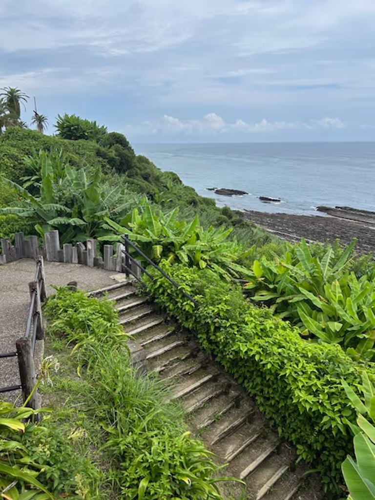 Miyazaki Private Tour - Nichinan Coast