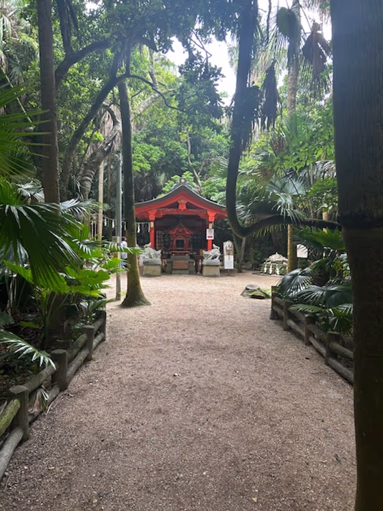 Miyazaki Private Tour - Inside Aoshima Shrine
