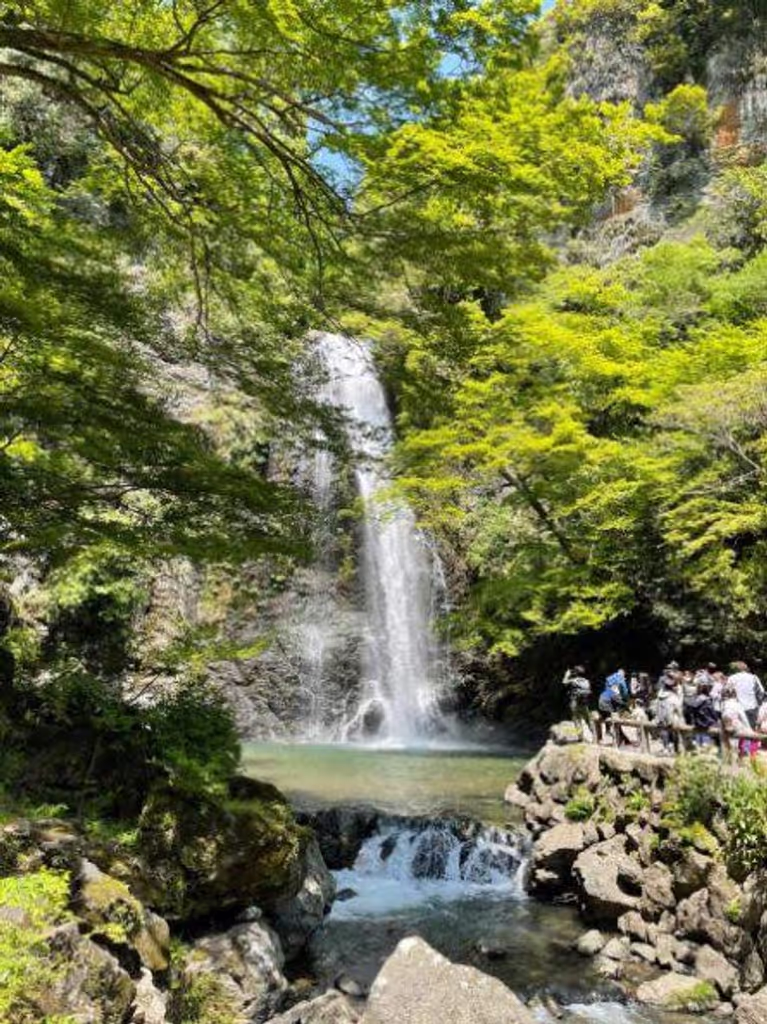 Osaka Private Tour - Minoh water fall