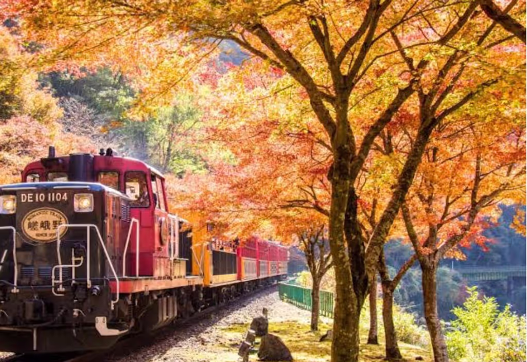 Kyoto Private Tour - Sagano Romantic Train