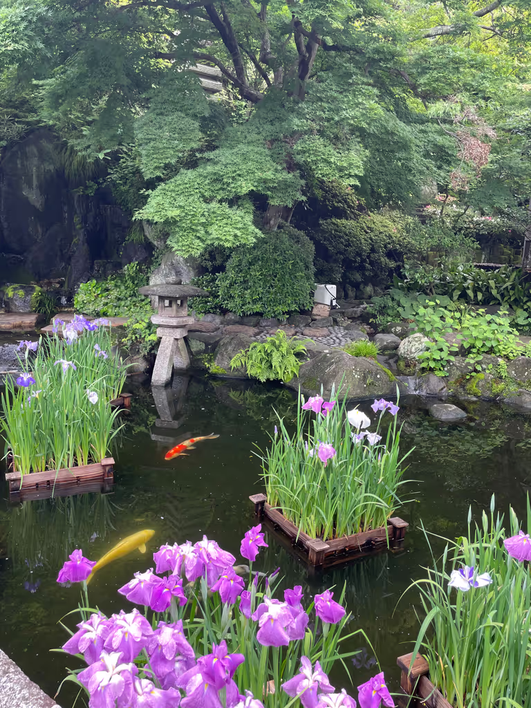 Kamakura Private Tour - The serene gardens of Hase-dera Temple