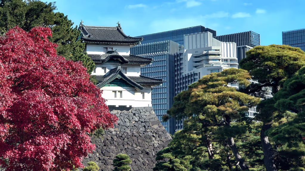 Tokyo Private Tour - Tradition et modernité au cœur de Tokyo