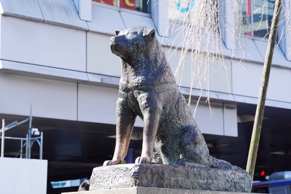 Tokyo Private Tour - Chien Hachi