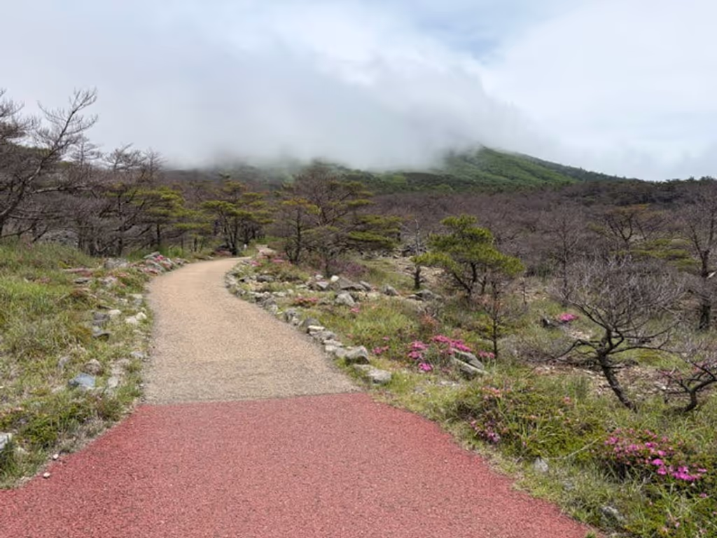Miyazaki Private Tour - Among the azaleas and 'hells'