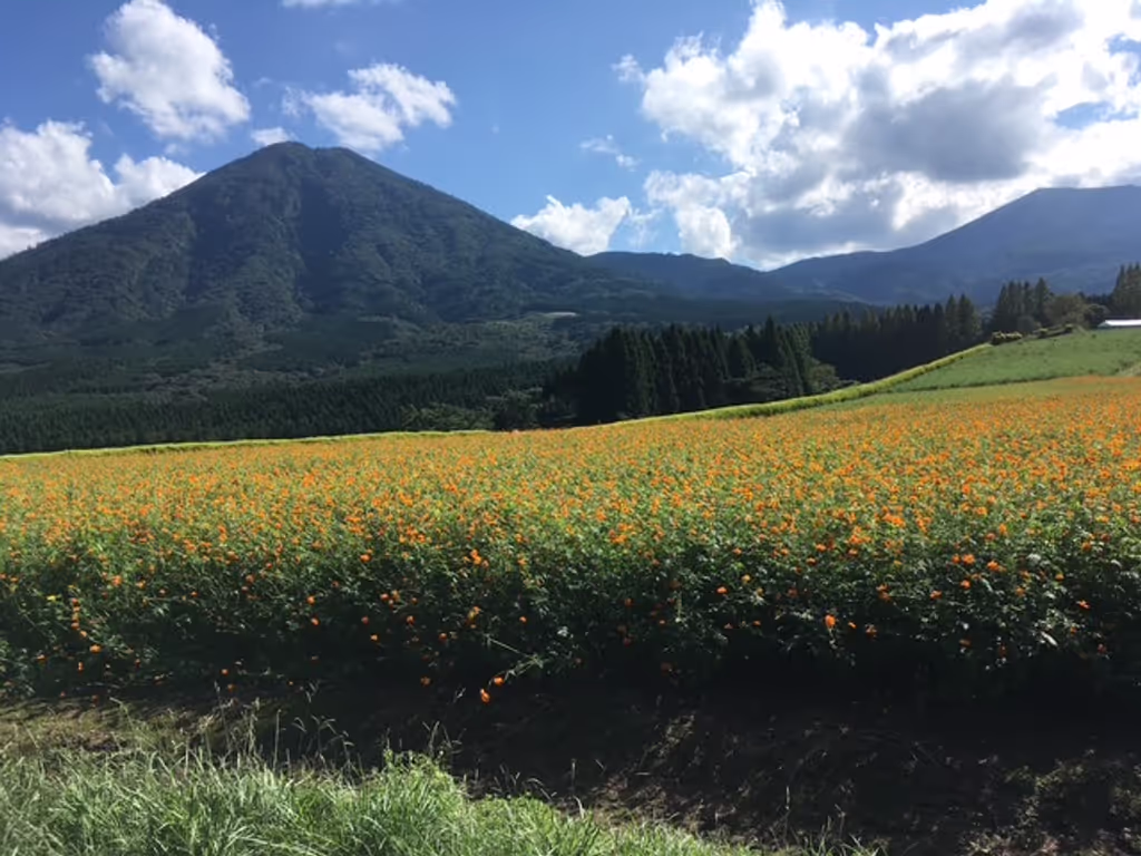 Miyazaki Private Tour - Ikoma Plateau