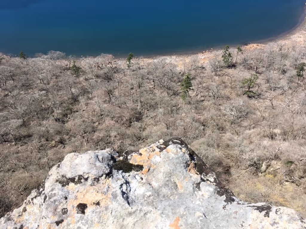 Miyazaki Private Tour - Volcanic formations