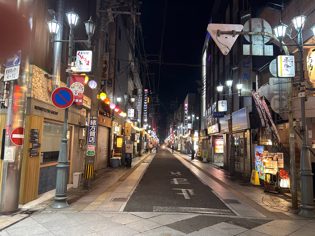 Miyazaki Private Tour - Nightlife district