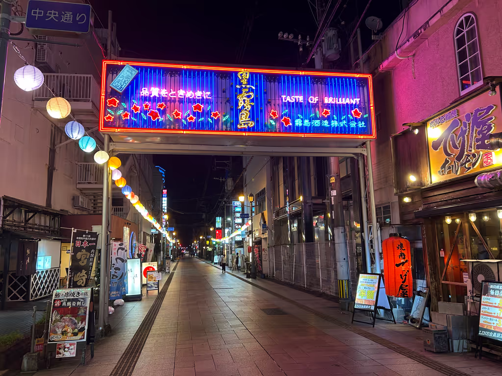 Miyazaki Private Tour - Nightlife district