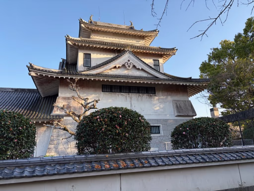 Miyazaki Private Tour - Amagajo Castle