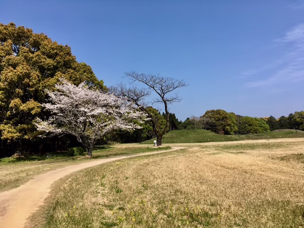 Miyazaki Private Tour - Saito Burial Mounds area