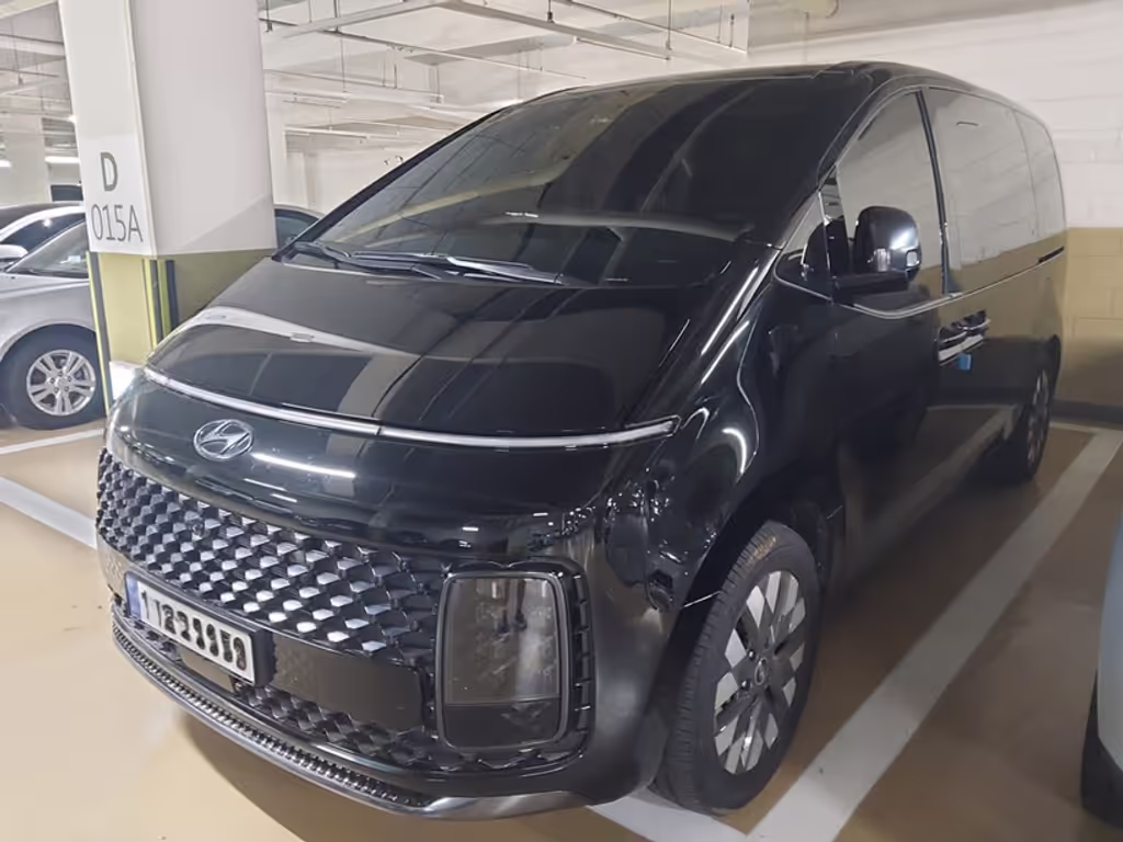Seoul Private Tour - Vehicle(StariaLounge)